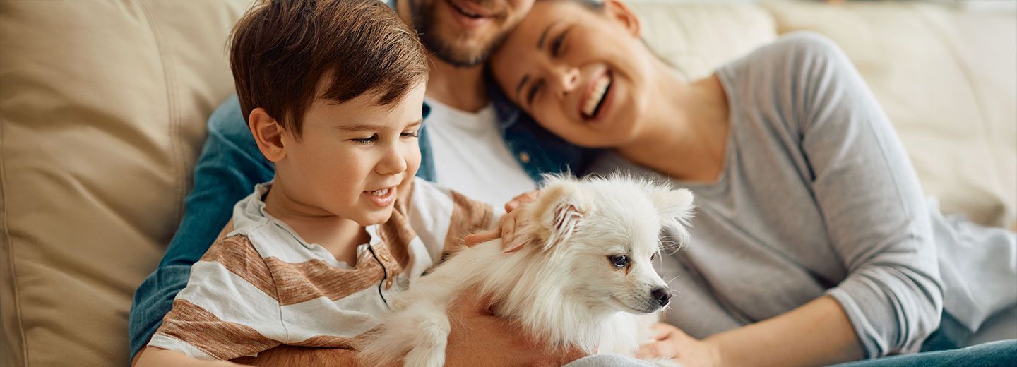 Meridiano Seguros suma a sus productos de Decesos una nueva garantía para mascotas